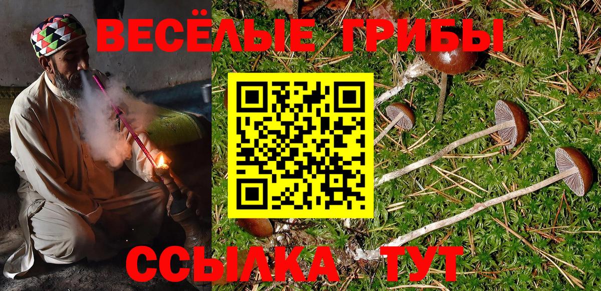 Саяногорск  Галлюциногенные грибы ЛСД  Вход с VPN 